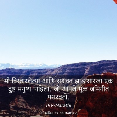 Picture 03 - स्तोत्रसंहिता 37:35 MARIRV - मी विस्तारलेल्या - Bible Verse Picture