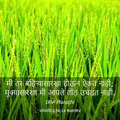 Picture 03 - स्तोत्रसंहिता 38:13 MARIRV - मी तर - Bible Verse Picture