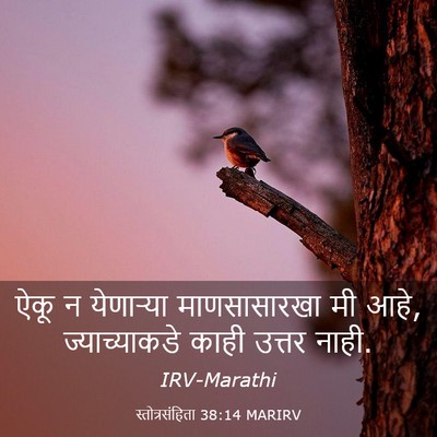 Picture 03 - स्तोत्रसंहिता 38:14 MARIRV - ऐकू न येणाऱ्या - Bible Verse Picture