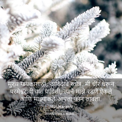 Picture 03 - स्तोत्रसंहिता 40:1 MARIRV - मुख्य गायकासाठी; - Bible Verse Picture