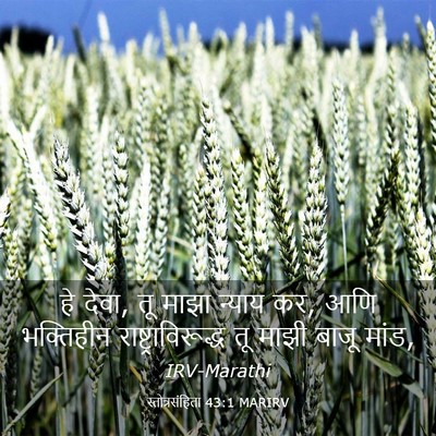 Picture 03 - स्तोत्रसंहिता 43:1 MARIRV - हे देवा, तू माझा - Bible Verse Picture