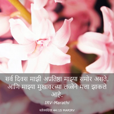 Picture 03 - स्तोत्रसंहिता 44:15 MARIRV - सर्व दिवस माझी - Bible Verse Picture