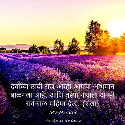 Picture 03 - स्तोत्रसंहिता 44:8 MARIRV - देवाच्या ठायी रोज - Bible Verse Picture
