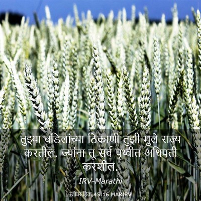 Picture 03 - स्तोत्रसंहिता 45:16 MARIRV - तुझ्या वडिलांच्या - Bible Verse Picture