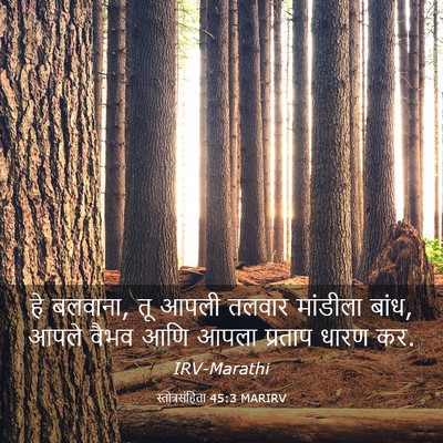 Picture 03 - स्तोत्रसंहिता 45:3 MARIRV - हे बलवाना, तू आपली - Bible Verse Picture
