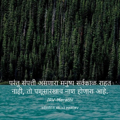 Picture 03 - स्तोत्रसंहिता 49:12 MARIRV - परंतु संपत्ती - Bible Verse Picture