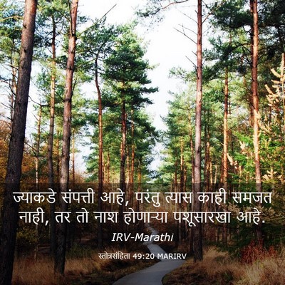 Picture 03 - स्तोत्रसंहिता 49:20 MARIRV - ज्याकडे संपत्ती - Bible Verse Picture
