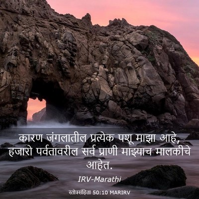 Picture 03 - स्तोत्रसंहिता 50:10 MARIRV - कारण जंगलातील - Bible Verse Picture