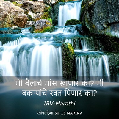 Picture 03 - स्तोत्रसंहिता 50:13 MARIRV - मी बैलाचे मांस - Bible Verse Picture