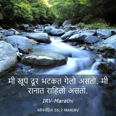 Picture 03 - स्तोत्रसंहिता 55:7 MARIRV - मी खूप दूर भटकत - Bible Verse Picture