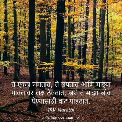 Picture 03 - स्तोत्रसंहिता 56:6 MARIRV - ते एकत्र जमतात, ते - Bible Verse Picture