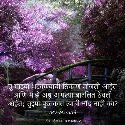 Picture 03 - स्तोत्रसंहिता 56:8 MARIRV - तू माझ्या - Bible Verse Picture
