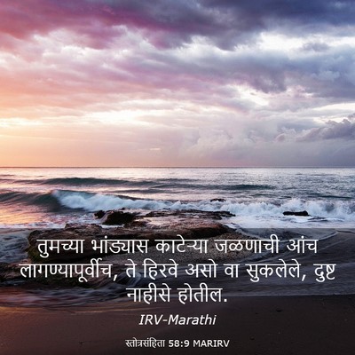 Picture 03 - स्तोत्रसंहिता 58:9 MARIRV - तुमच्या भांड्यास - Bible Verse Picture