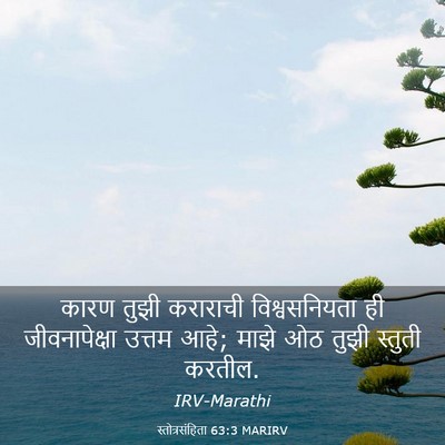 Picture 03 - स्तोत्रसंहिता 63:3 MARIRV - कारण तुझी कराराची - Bible Verse Picture