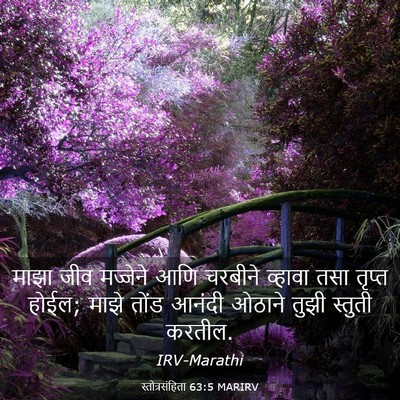 Picture 03 - स्तोत्रसंहिता 63:5 MARIRV - माझा जीव मज्जेने - Bible Verse Picture