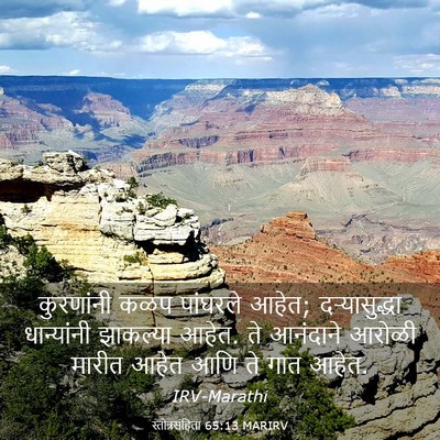 Picture 03 - स्तोत्रसंहिता 65:13 MARIRV - कुरणांनी कळप - Bible Verse Picture