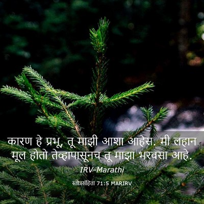 Picture 03 - स्तोत्रसंहिता 71:5 MARIRV - कारण हे प्रभू, तू - Bible Verse Picture