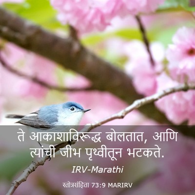 Picture 03 - स्तोत्रसंहिता 73:9 MARIRV - ते आकाशाविरूद्ध - Bible Verse Picture