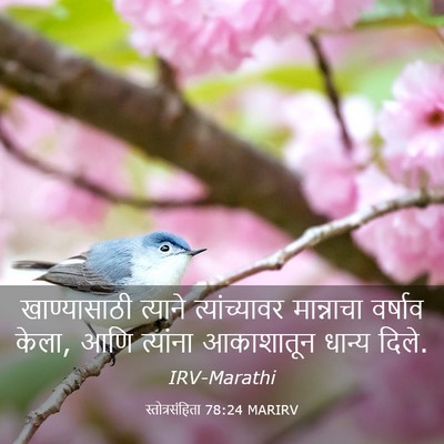 Picture 03 - स्तोत्रसंहिता 78:24 MARIRV - खाण्यासाठी त्याने - Bible Verse Picture