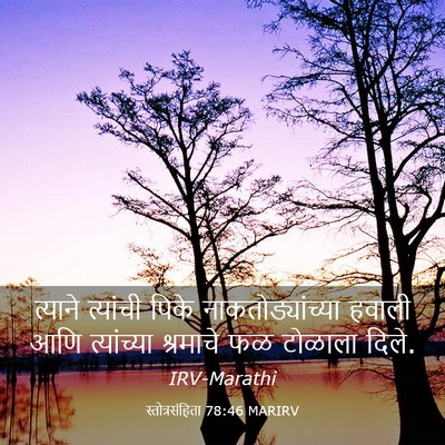 Picture 03 - स्तोत्रसंहिता 78:46 MARIRV - त्याने त्यांची - Bible Verse Picture