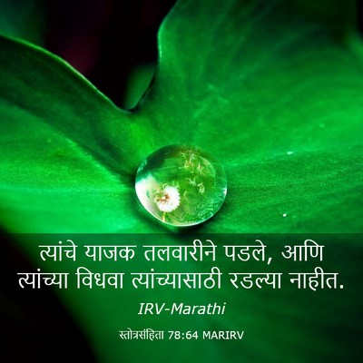Picture 03 - स्तोत्रसंहिता 78:64 MARIRV - त्यांचे याजक - Bible Verse Picture