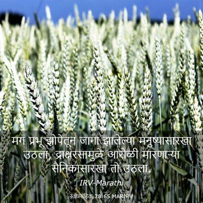 Picture 03 - स्तोत्रसंहिता 78:65 MARIRV - मग प्रभू झोपेतून - Bible Verse Picture