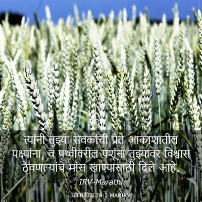 Picture 03 - स्तोत्रसंहिता 79:2 MARIRV - त्यांनी तुझ्या - Bible Verse Picture