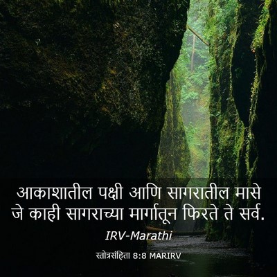 Picture 03 - स्तोत्रसंहिता 8:8 MARIRV - आकाशातील पक्षी - Bible Verse Picture