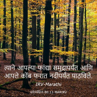 Picture 03 - स्तोत्रसंहिता 80:11 MARIRV - त्याने आपल्या - Bible Verse Picture