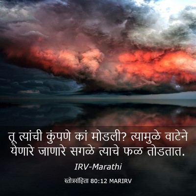 Picture 03 - स्तोत्रसंहिता 80:12 MARIRV - तू त्यांची कुंपणे - Bible Verse Picture