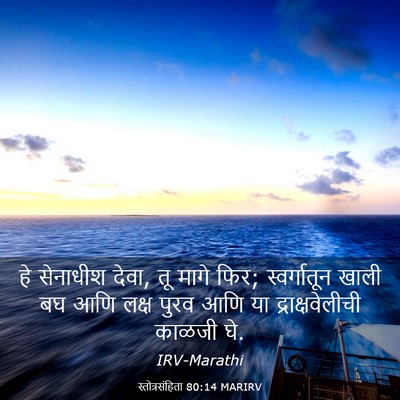 Picture 03 - स्तोत्रसंहिता 80:14 MARIRV - हे सेनाधीश देवा, तू - Bible Verse Picture