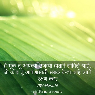 Picture 03 - स्तोत्रसंहिता 80:15 MARIRV - हे मूळ तू आपल्या - Bible Verse Picture