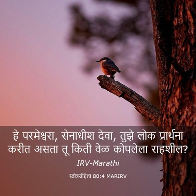Picture 03 - स्तोत्रसंहिता 80:4 MARIRV - हे परमेश्वरा, - Bible Verse Picture