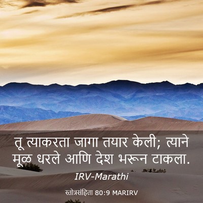 Picture 03 - स्तोत्रसंहिता 80:9 MARIRV - तू त्याकरता जागा - Bible Verse Picture