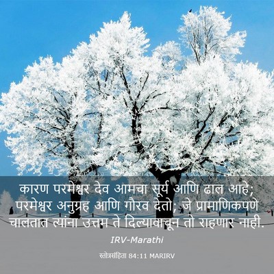 Picture 03 - स्तोत्रसंहिता 84:11 MARIRV - कारण परमेश्वर देव - Bible Verse Picture