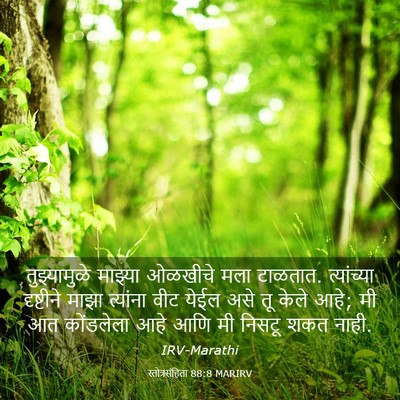 Picture 03 - स्तोत्रसंहिता 88:8 MARIRV - तुझ्यामुळे माझ्या - Bible Verse Picture