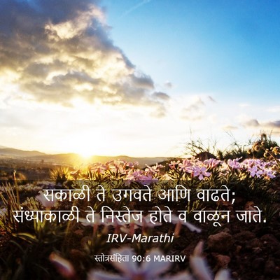 Picture 03 - स्तोत्रसंहिता 90:6 MARIRV - सकाळी ते उगवते आणि - Bible Verse Picture