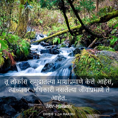 Picture 03 - हबक्कूक 1:14 MARIRV - तू लोकांस - Bible Verse Picture