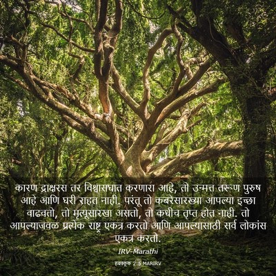 Picture 03 - हबक्कूक 2:5 MARIRV - कारण द्राक्षरस तर - Bible Verse Picture