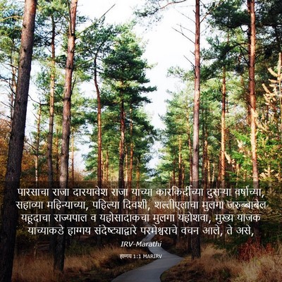 Picture 03 - हाग्गय 1:1 MARIRV - पारसाचा राजा - Bible Verse Picture