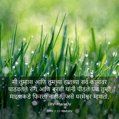 Picture 03 - हाग्गय 2:17 MARIRV - मी तुम्हास आणि - Bible Verse Picture