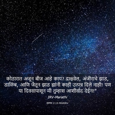 Picture 03 - हाग्गय 2:19 MARIRV - कोठारात अजून बीज - Bible Verse Picture