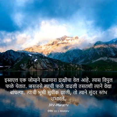 Picture 03 - होशेय 10:1 MARIRV - इस्राएल एक जोमाने - Bible Verse Picture
