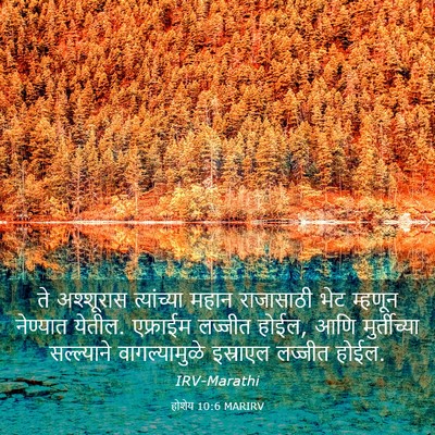 Picture 03 - होशेय 10:6 MARIRV - ते अश्शूरास - Bible Verse Picture
