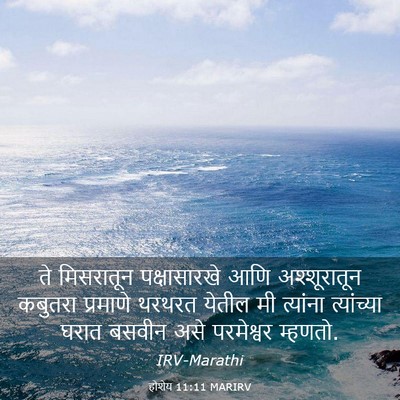 Picture 03 - होशेय 11:11 MARIRV - ते मिसरातून - Bible Verse Picture
