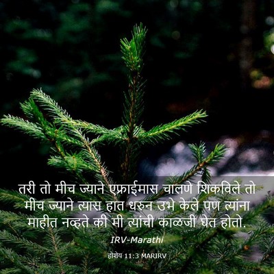 Picture 03 - होशेय 11:3 MARIRV - तरी तो मीच ज्याने - Bible Verse Picture