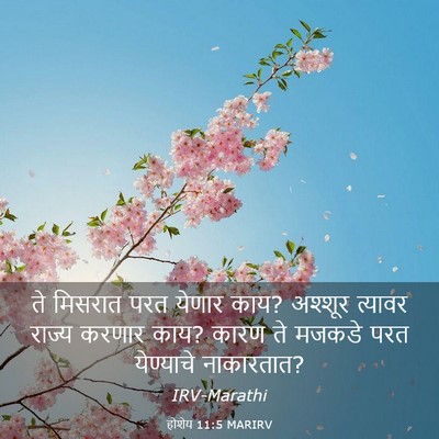 Picture 03 - होशेय 11:5 MARIRV - ते मिसरात परत - Bible Verse Picture