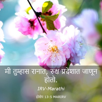 Picture 03 - होशेय 13:5 MARIRV - मी तुम्हास रानात, - Bible Verse Picture
