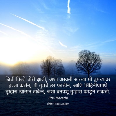 Picture 03 - होशेय 13:8 MARIRV - जिची पिल्ले चोरी - Bible Verse Picture
