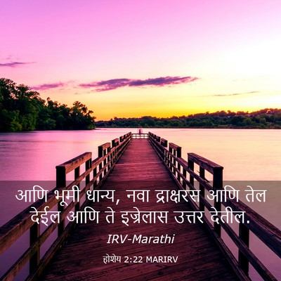 Picture 03 - होशेय 2:22 MARIRV - आणि भूमी धान्य, नवा - Bible Verse Picture